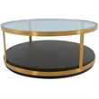 Armen Living Hattie Modern Wood/Glass Coffee Table in Walnut/Gold