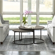 Armen Living Rina 2-Piece Metal/Concrete Nesting Coffee Table Set in Gray/Black