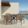 Doris Indoor Outdoor Dining Chairs - Set of 2