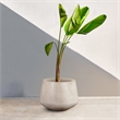 Armen Living Amethyst 10