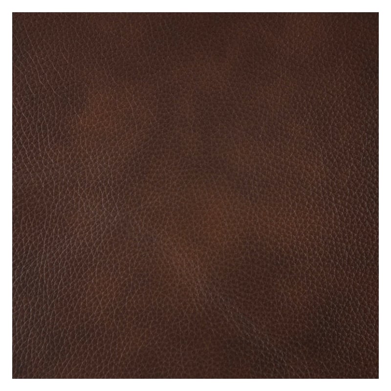 Armen Living Leather Power Headrest & Lumbar Support Reclining Sofa in Brown