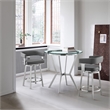 Armen Living Naomi and Lorin 3PC Stainless Steel Counter Dining Set in Silver