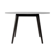 Sydney and Fanny 5 Piece Outdoor Patio Dining Set in Dark Eucalyptus Wood