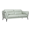 Armen Living Franz Upholstered Metal & Leather Sofa in Black/Mint