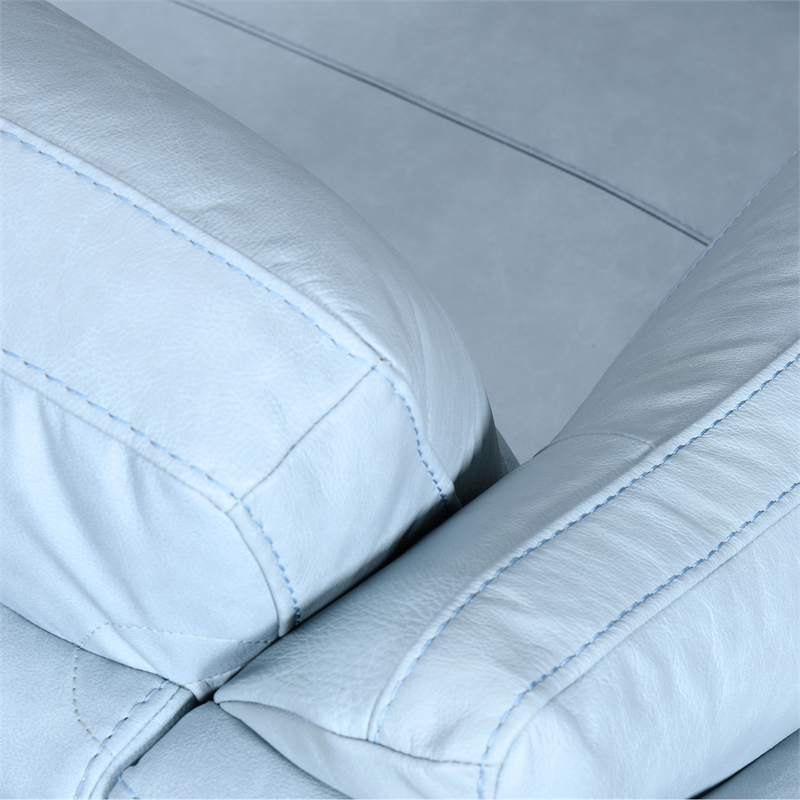 Armen Living Franz Upholstered Metal & Leather Sofa in Black/Sky Blue