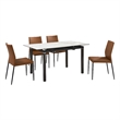 Giana Kash 5 Piece Extendable Dining Set with Brown Faux Leather Chairs