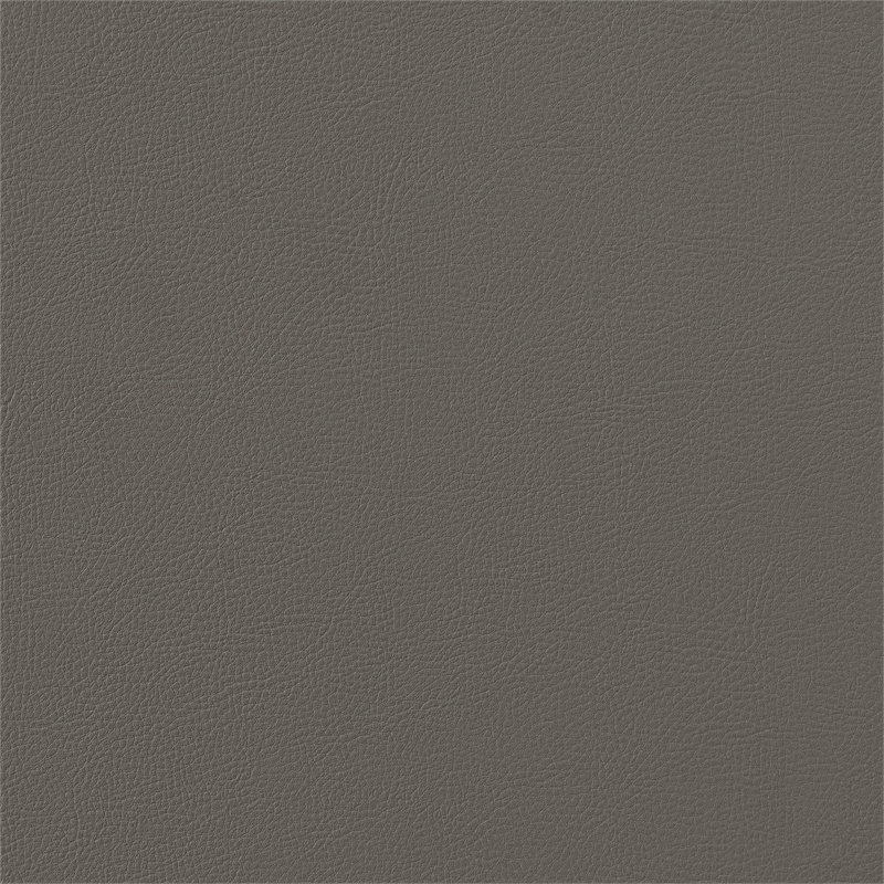 Shannon Dining Chair with Matte Black Iron & Light Gray Faux Leather - Set of 2