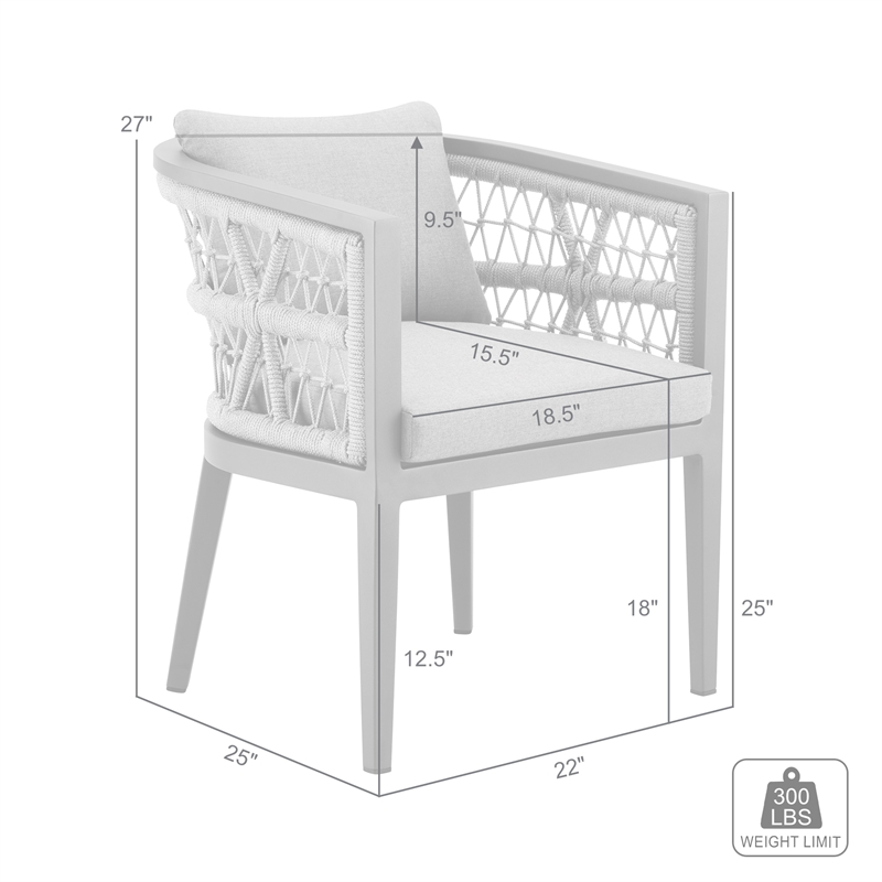 Zella Outdoor Patio Dining Chair in Aluminum - Set of 2