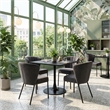 Aimee Dining Chair (Set of 2) Gray