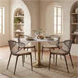 Silues Dining Chair (Set of 2) Taupe & Brown