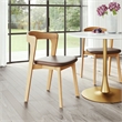 Pioro Dining Chair (Set of 2) Brown & Natural