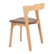 Pioro Dining Chair (Set of 2) Brown & Natural