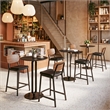 Ardenne Counter Stool (Set of 2) Black & Brown