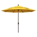 Sunflower Yellow