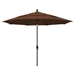 Teak