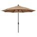 Terrace Sequoia
