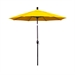 Sunflower Yellow