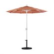 California Umbrella 7.5' Patio Umbrella in Sun brella Dolce Mango/Matted White