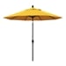 Sunflower Yellow