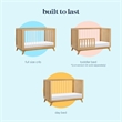 DaVinci Otto 3-in-1 Convertible Crib with Acrylic Slats in Light Brown