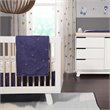 Hudson 3-in-1 Convertible Crib with Toddler Bed Conversion Kit - White/Natural