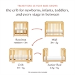 Babyletto Yuzu 8-in-1 Wood Convertible Crib with Conversion Kits in Natural