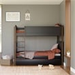 Babyletto Tiptoe Wood Twin Storage Trundle Bed in Black and Brown
