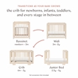 Babyletto Yuzu 8-in-1 Convertible Crib in Washed Natural