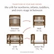 Babyletto Pogo Pine Wood 8-in-1 Convertible Crib in Natural Walnut