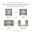 Babyletto Pogo Pine Wood 8-in-1 Convertible Crib in Olive