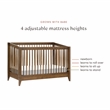 Babyletto Sprout 4-in-1 Convertible Crib in Natural Walnut