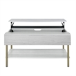 Whitman White Wood and Brass Lift Top Coffee Table