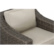 Steve Silver Jones Swivel Lounge Chair with .5 Round Wicker in Brown (Set of 2)