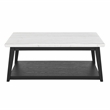 Steve Silver Company Vida Marble Top Cocktail Table in White and Black