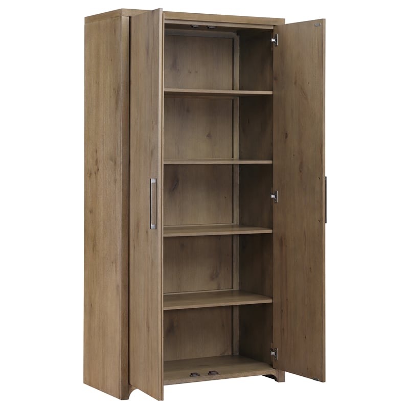 Steve Silver Orinda Curio in Brown