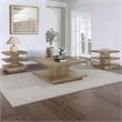 Steve Silver Canyon Brown 3pc Coffee & End Table Set