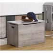 Sorelle Farmhouse Toy Box in Panel Gray