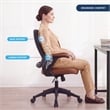 Techni Mobili Mid-Back Mesh Task Office Chair in Brown