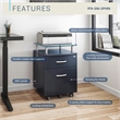 Techni Mobili Seguro 2 Drawer Wood Mobile Filing Cabinet in Graphite