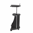 Techni Mobili Cadmus Sit-to-Stand Rolling Laptop Cart with Storage in Graphite