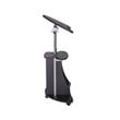 Techni Mobili Deluxe Sit-to-Stand Rolling Laptop Cart With Storage in Black