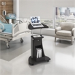 Techni Mobili Deluxe Sit-to-Stand Rolling Laptop Cart With Storage in Black