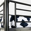Metal Twin Workstation Desk Loft Bunk Bed in Black