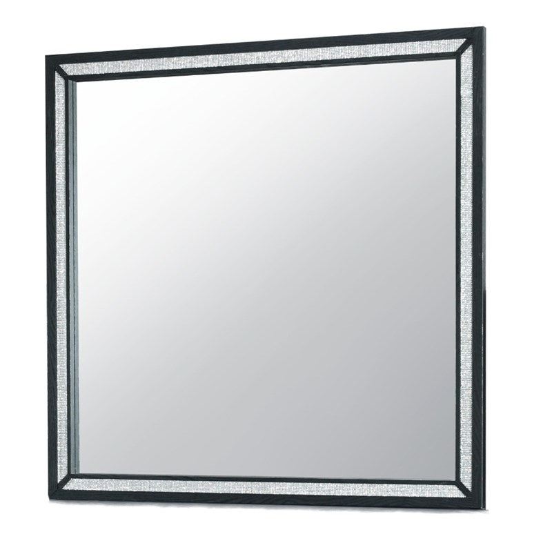 Global Furniture USA Reid Sleek Black Wood Large Scale Mirror