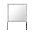 Elsie Washed Gray Large Scale Glass Mirror