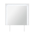 Naomi Silver Glass large scale Mirror with LED