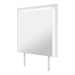Naomi Silver Glass large scale Mirror with LED