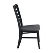 International Concepts Set of Two Cosmo Chairs
