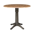 42 in Round Drop Leaf Counter Height Table with 2 Stools in Hickory/Washed Coal