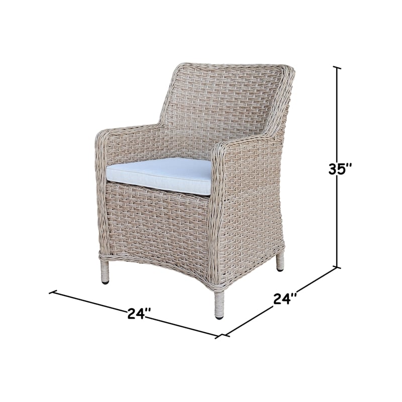 Outdoor Aluminum Wicker Patio Dining Chair with Cushion - Natural